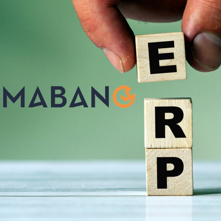 ERP Automatic Integration
